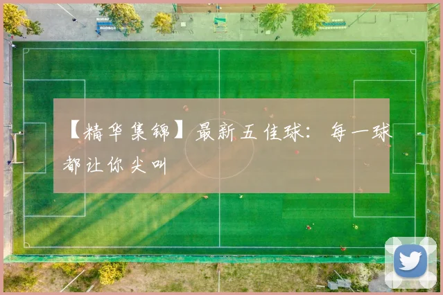 【精华集锦】最新五佳球：每一球都让你尖叫