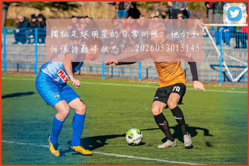 揭秘足球明星的日常训练：他们如何保持巅峰状态？_20260530151458