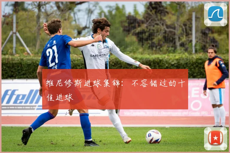 维尼修斯进球集锦：不容错过的十佳进球
