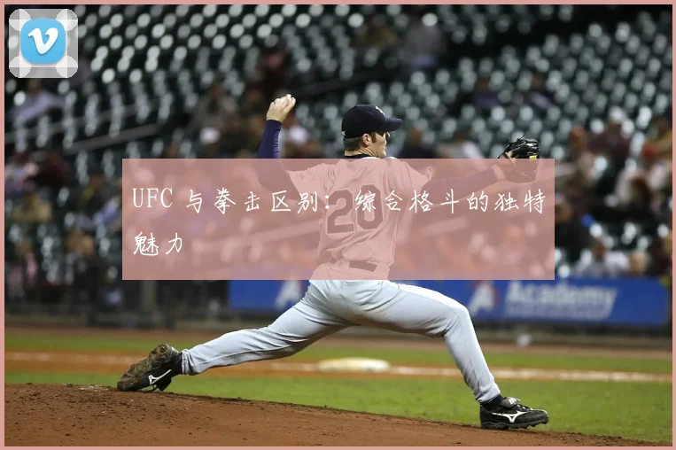 UFC 与拳击区别：综合格斗的独特魅力