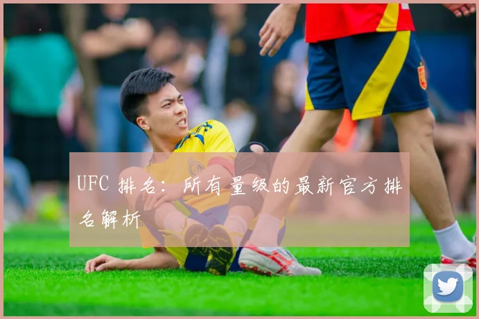 UFC 排名：所有量级的最新官方排名解析