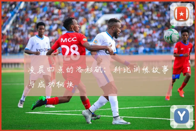 凌晨四点的洛杉矶：科比训练故事与成功秘诀