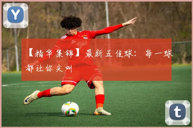 【精华集锦】最新五佳球：每一球都让你尖叫